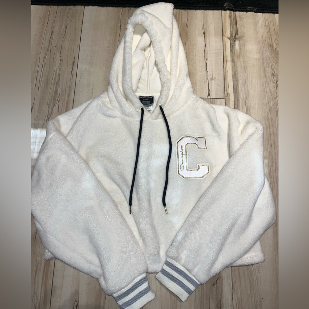 Champion Fuzzy cropped hoodie